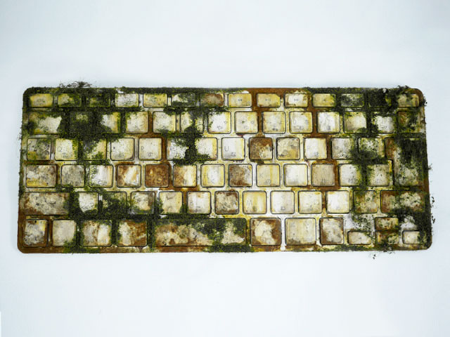 local/cache-vignettes/L640xH480/D8B3D984-DAA9D98-01fc626c-33675.jpg?1745968030
